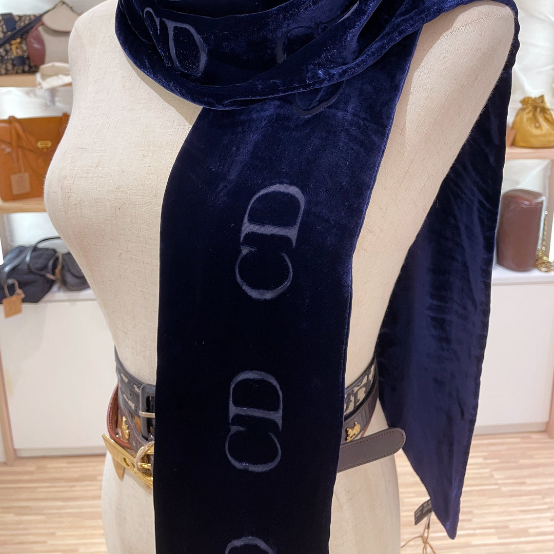 Dior scarf