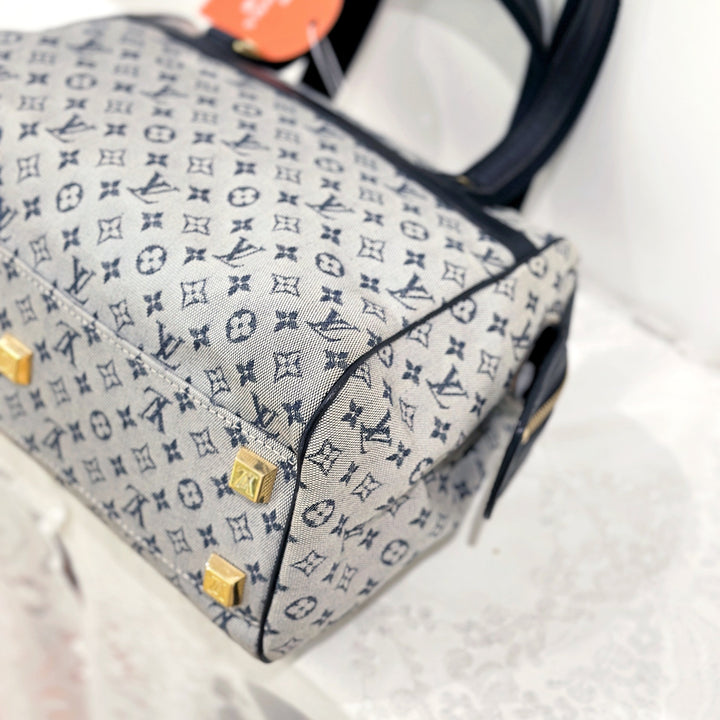 LOUIS VUITTON vintage monogram mini josephine pm bag