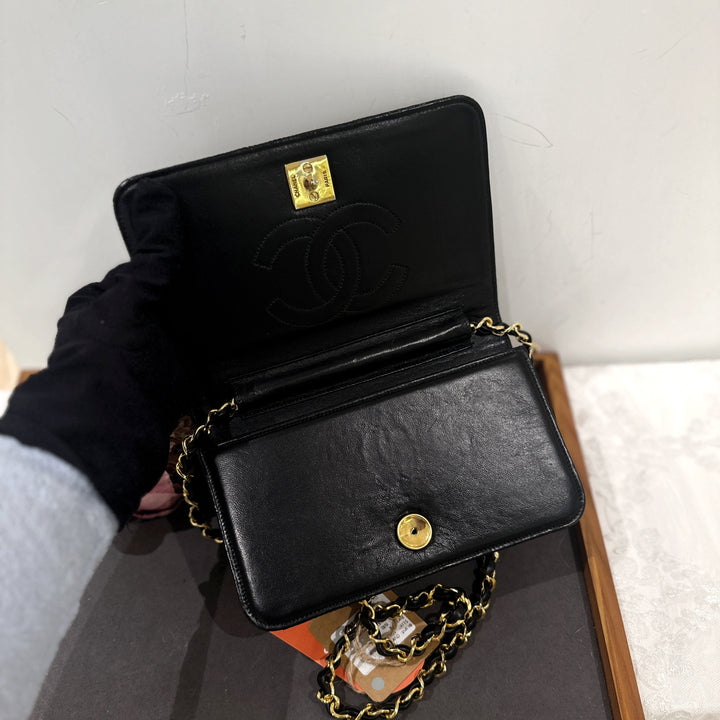 Chanel vintage lizard skin chain bag