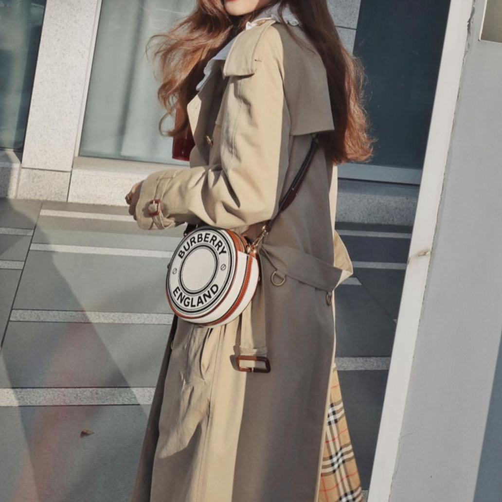 Burberry logo graphic canvas and leather louise bag