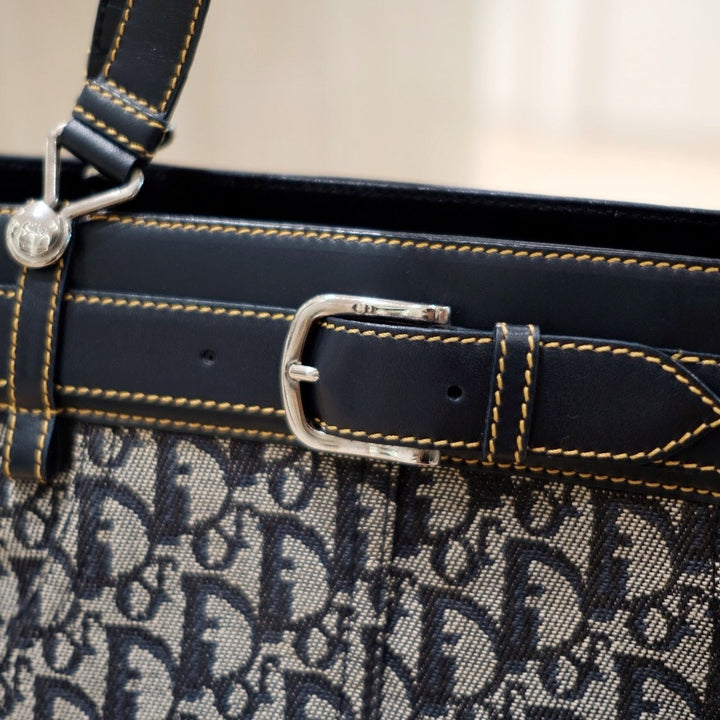 Dior vintage trotter handbag