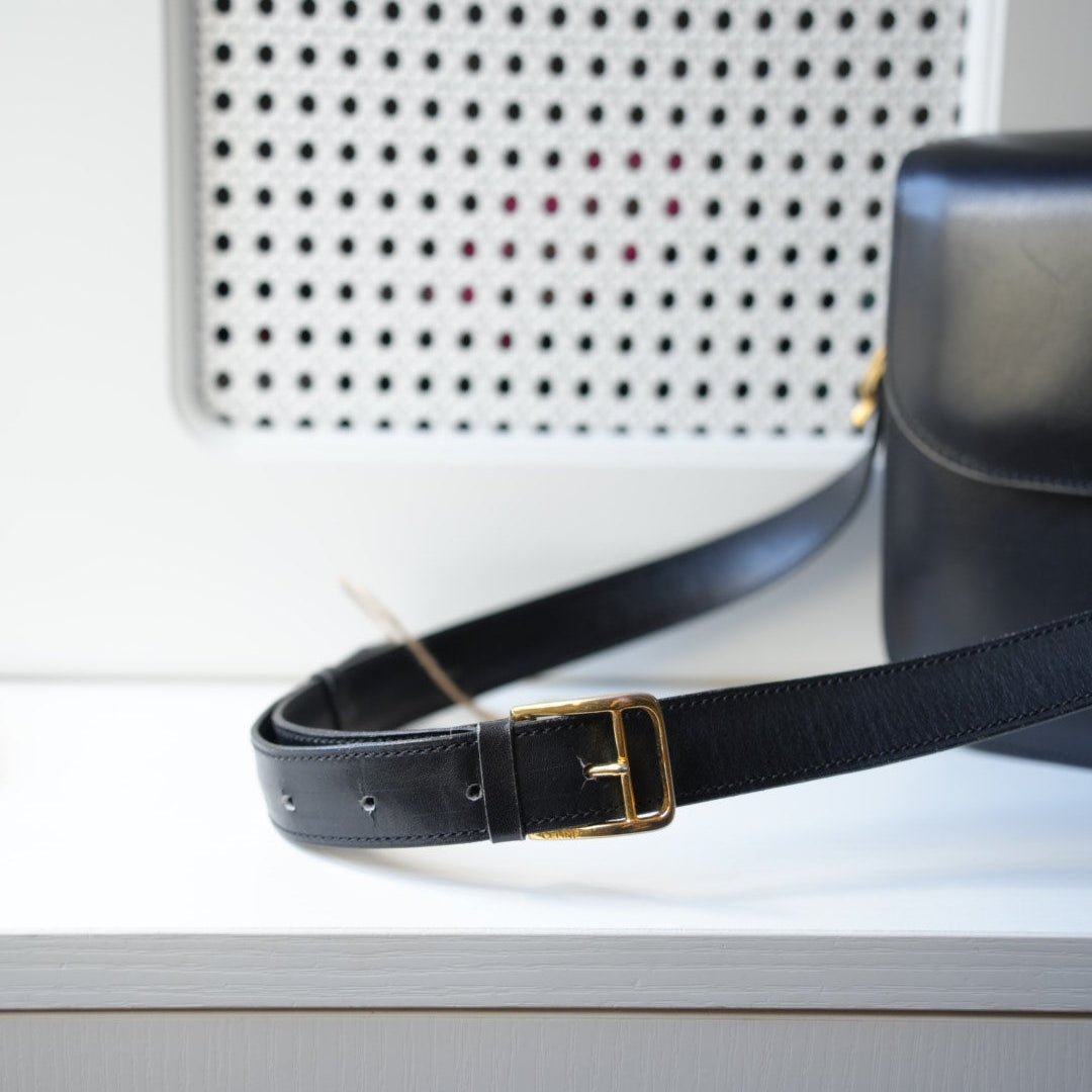 Celine vintage triomphe box bag