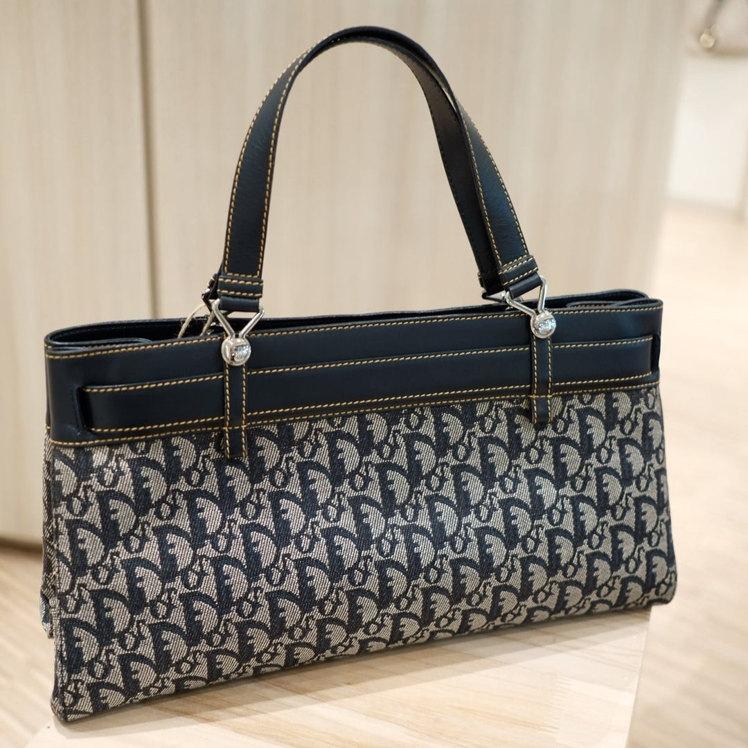 Dior vintage trotter handbag