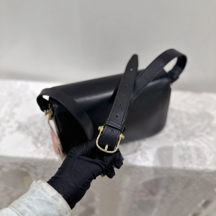 Celine vintage triomphe box bag