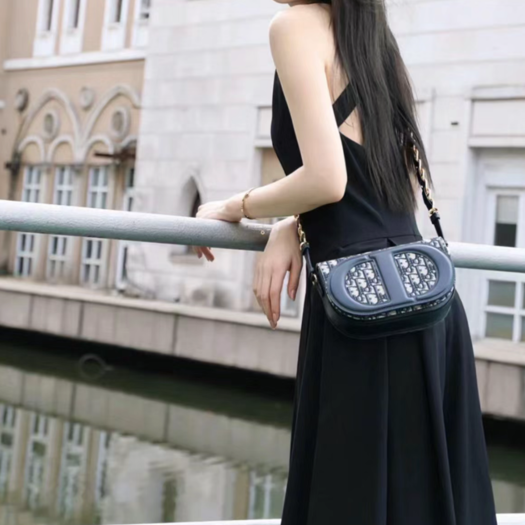 Dior signature hobo