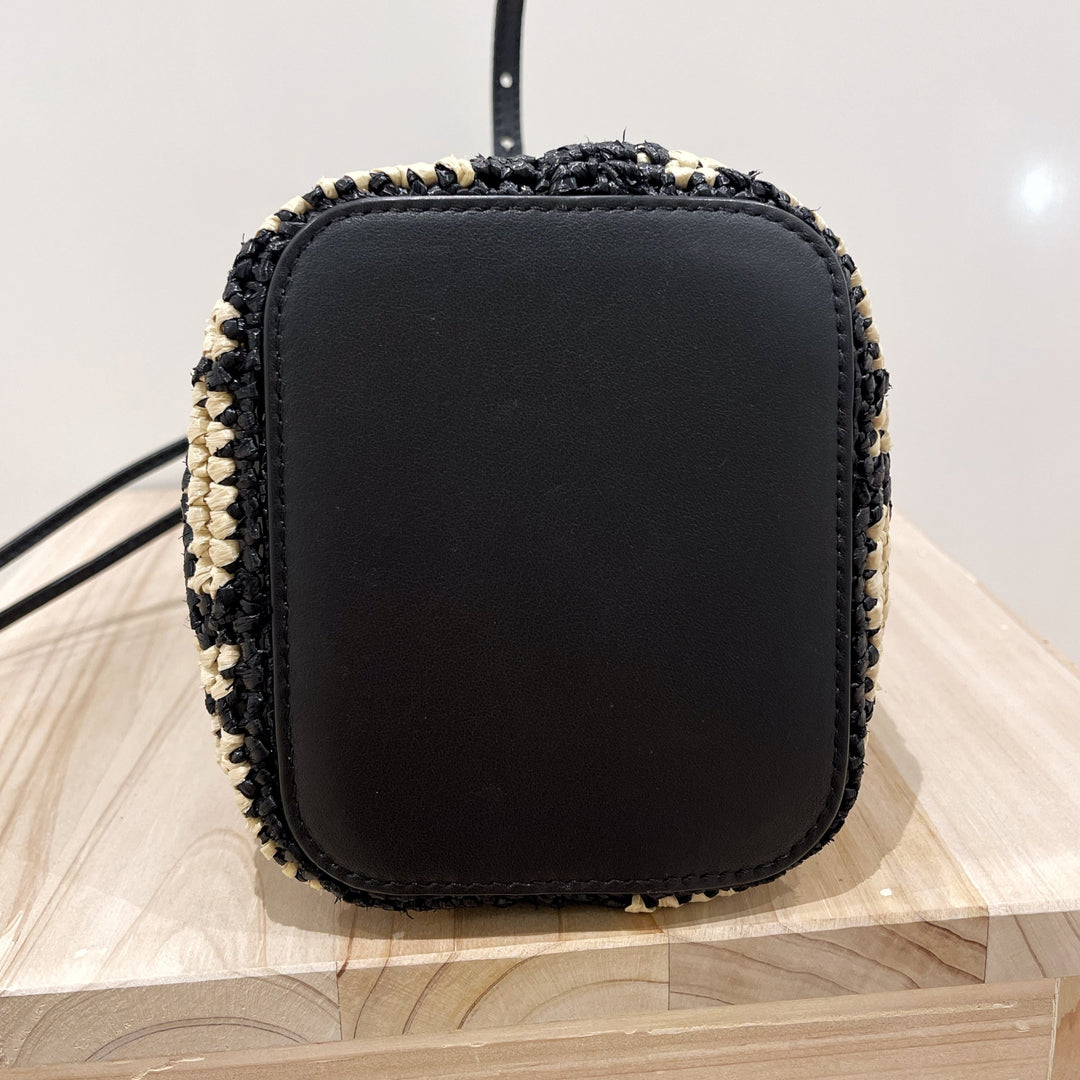 Fendi mon tresor mini bucket bag