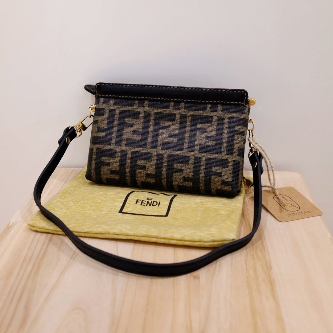 Fendi pouch +chain