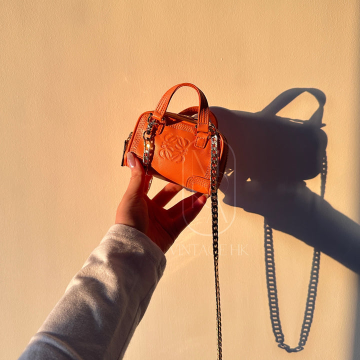 Loewe amazona  leather mini bag