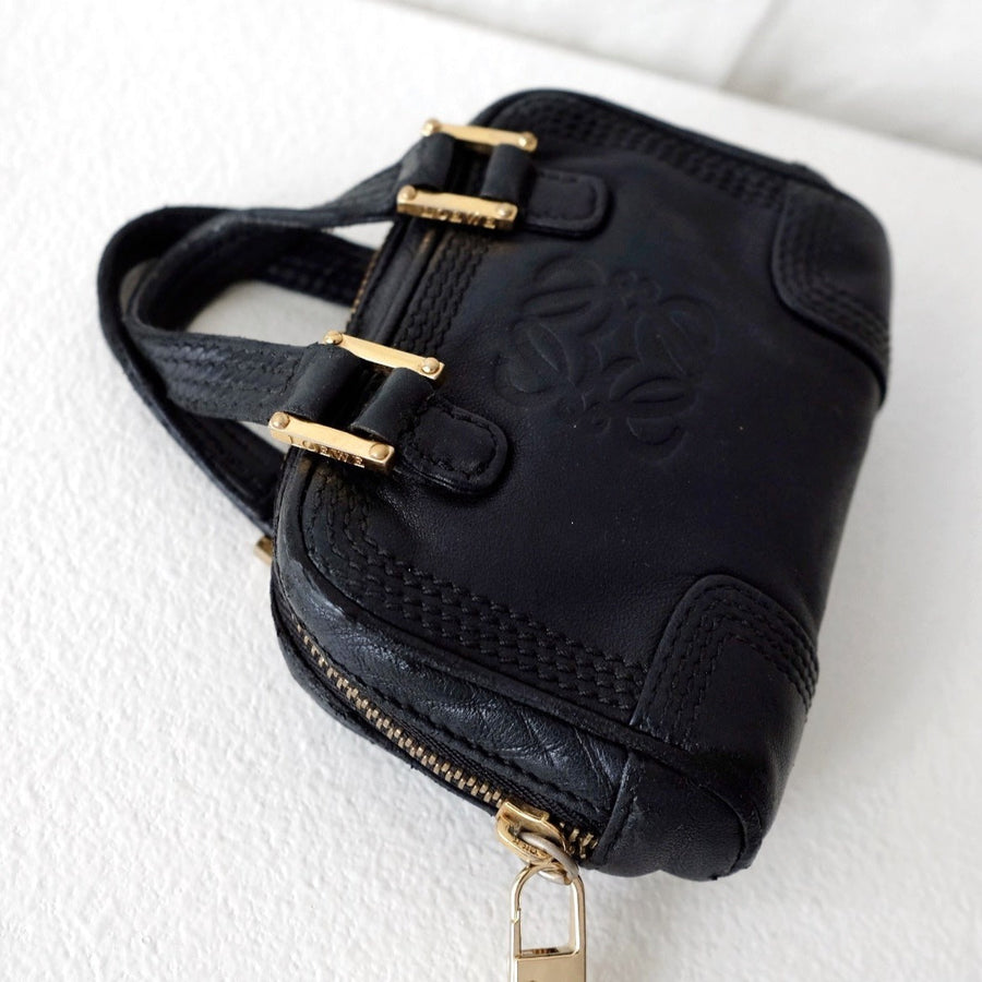 Loewe  amazona  leather mini bag