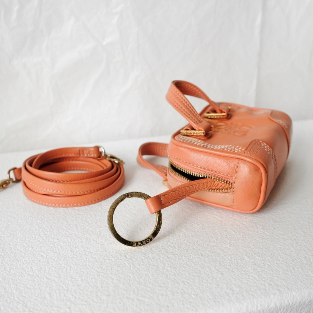 Loewe amazona  leather mini bag