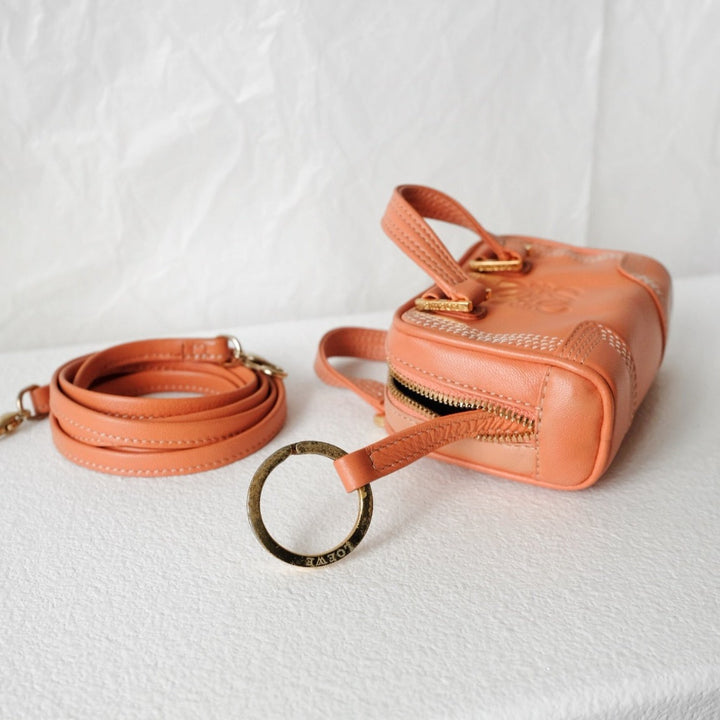 Loewe amazona  leather mini bag