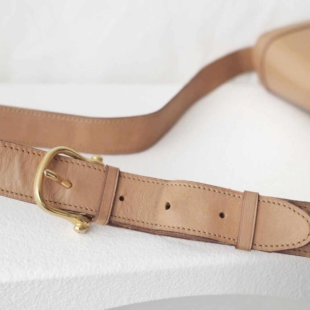 Celine Horse Carriage Box Shoulder Bag