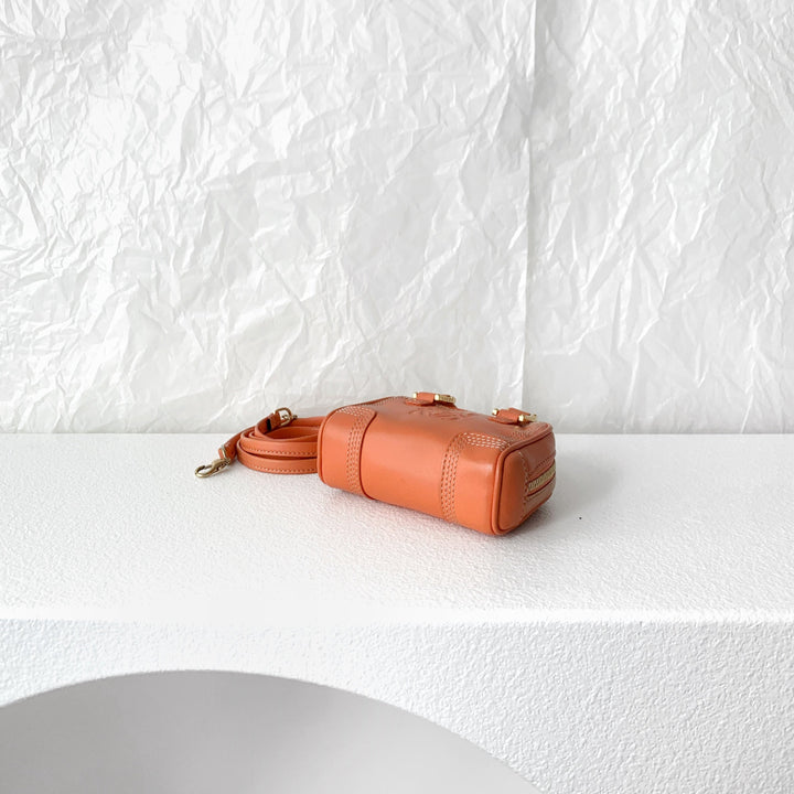 Loewe amazona  leather mini bag