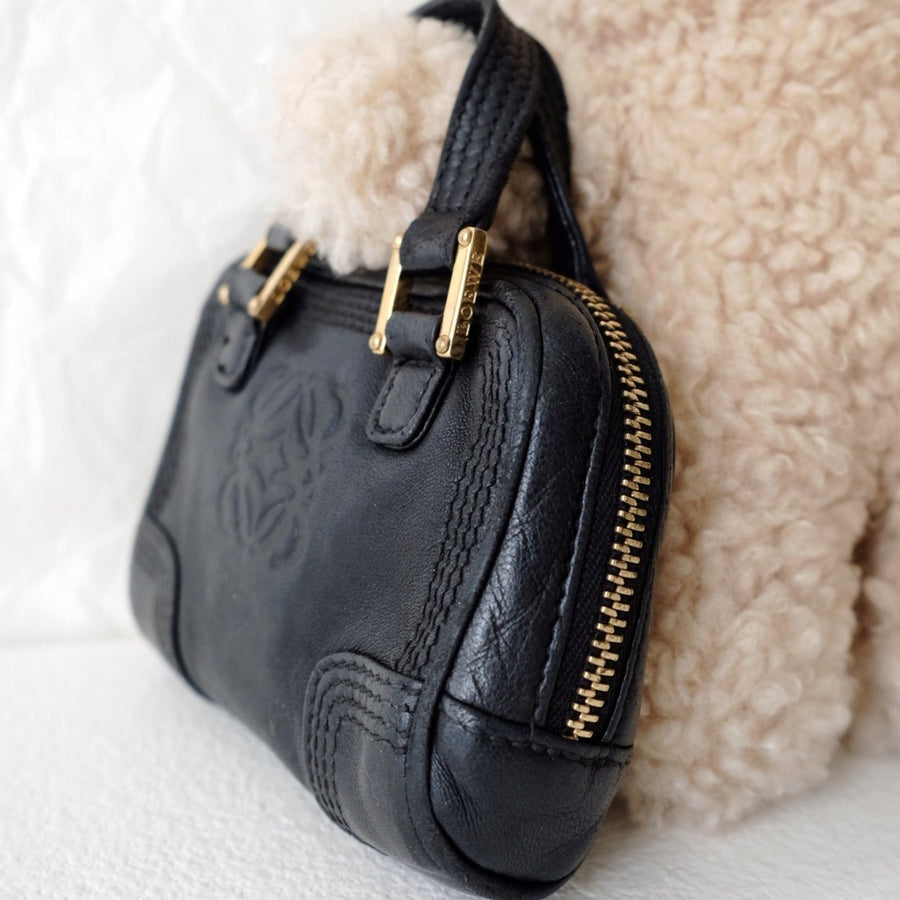 Loewe  amazona  leather mini bag