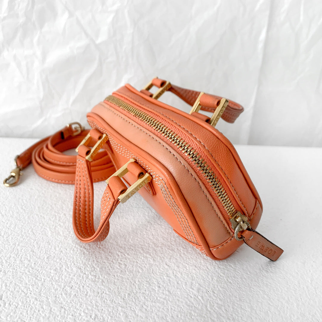 Loewe amazona  leather mini bag