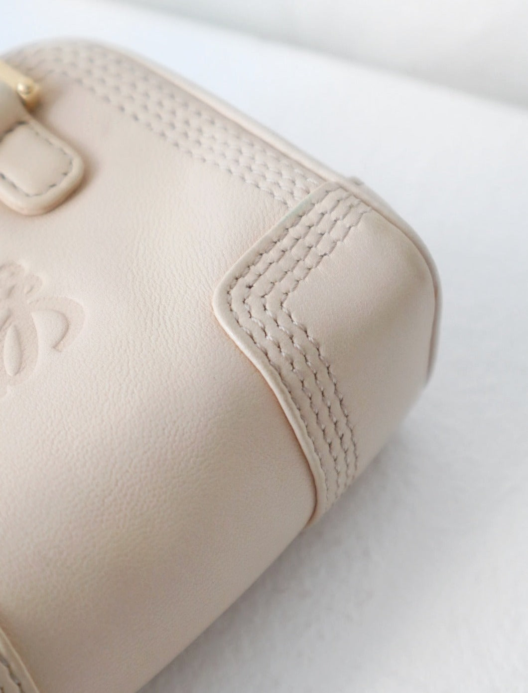 Loewe amazona  leather mini bag
