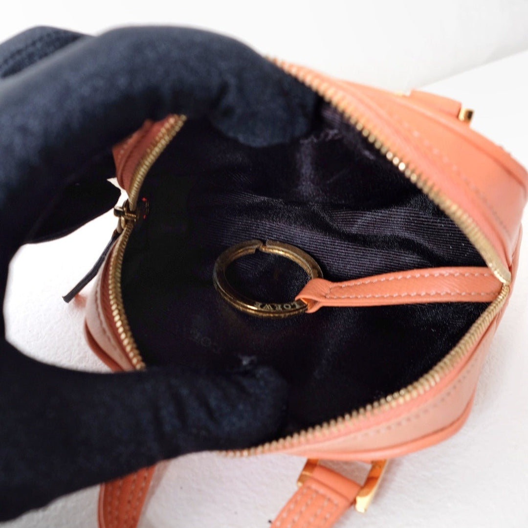Loewe amazona  leather mini bag