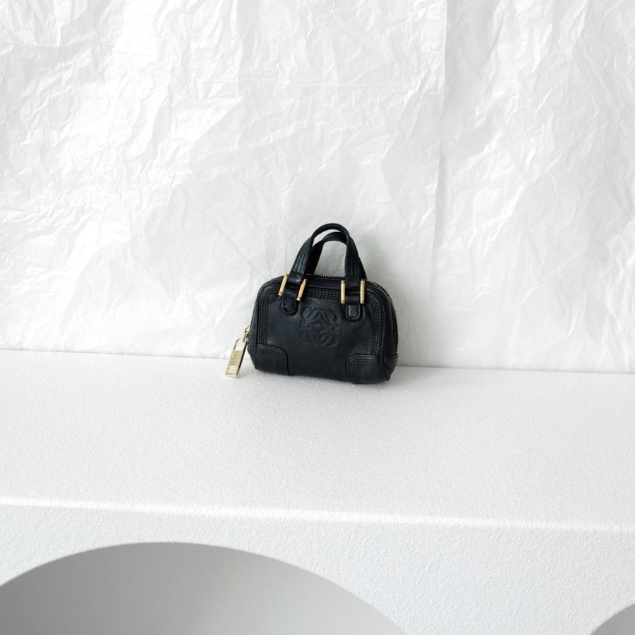 Loewe  amazona  leather mini bag