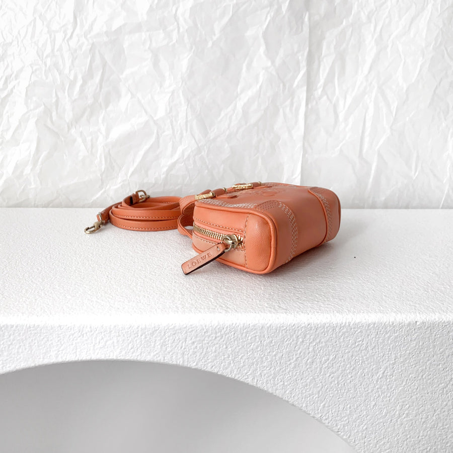Loewe amazona  leather mini bag