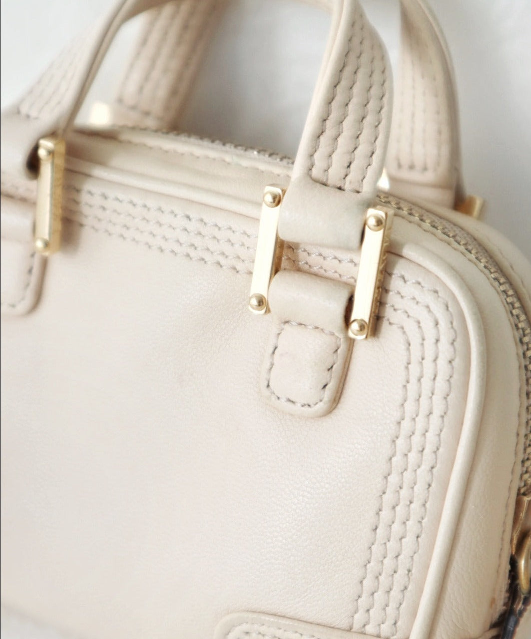 Loewe amazona  leather mini bag