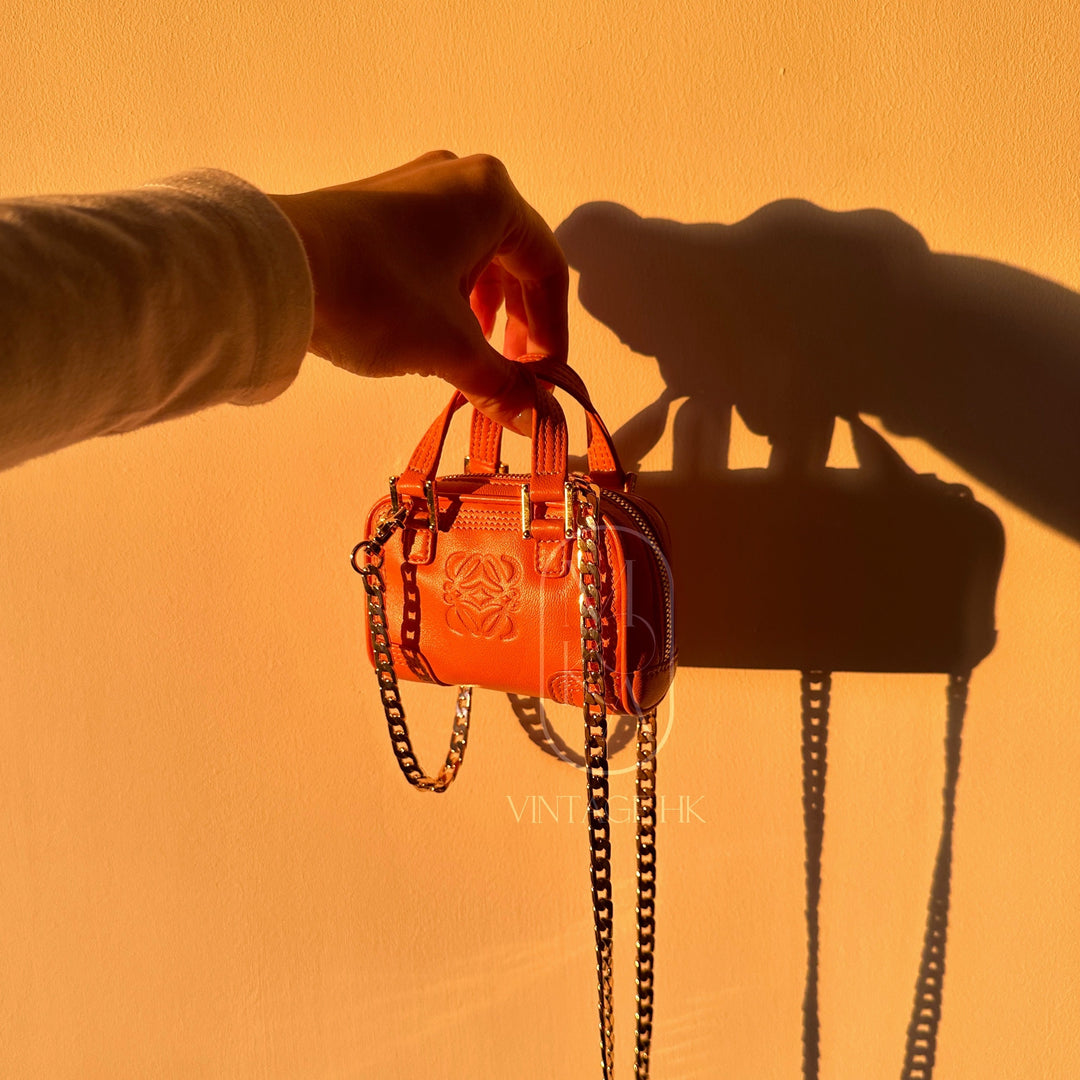 Loewe amazona  leather mini bag