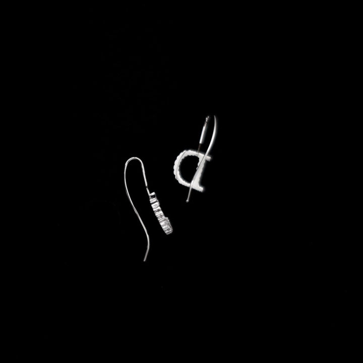 Dior silver CD earrings