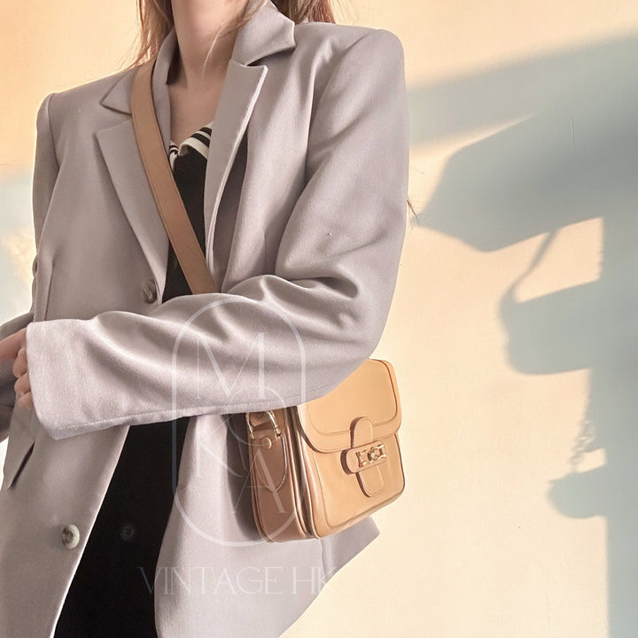 Celine Horse Carriage Box Shoulder Bag
