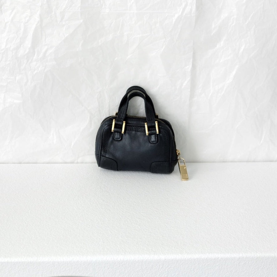 Loewe  amazona  leather mini bag