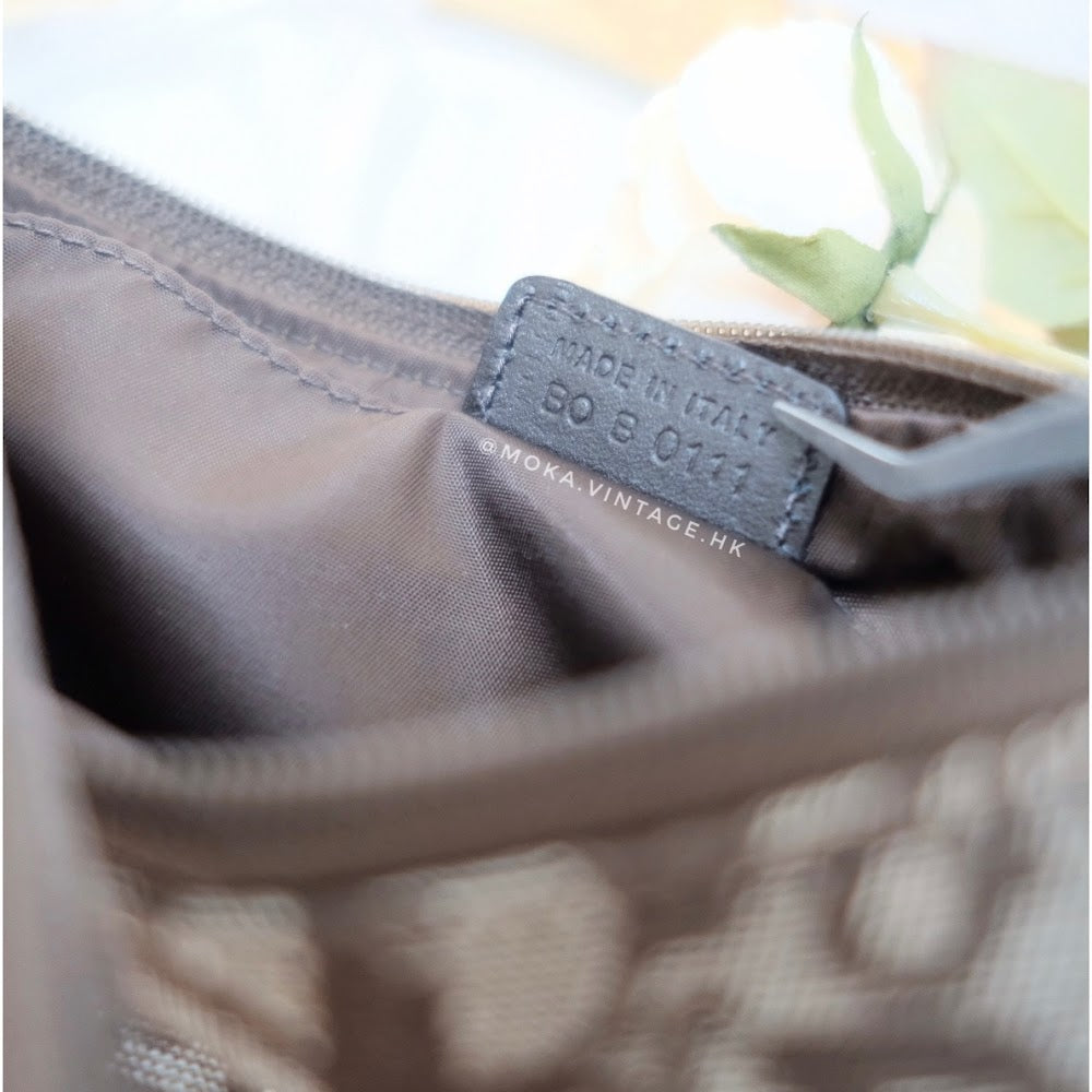 Dior trotter mini handbag