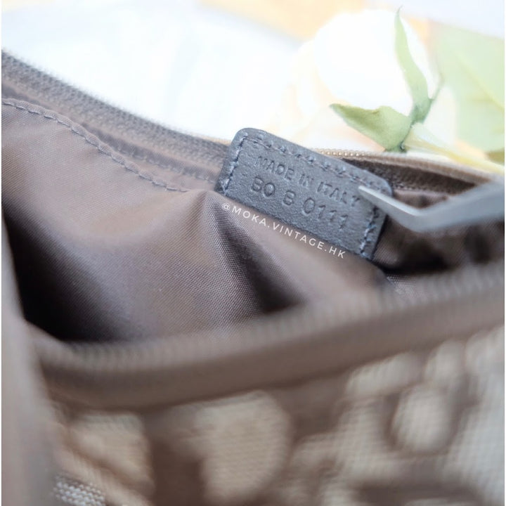 Dior trotter mini handbag