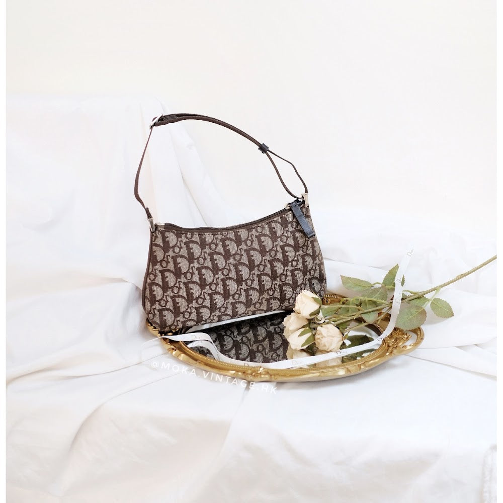 Dior trotter mini handbag