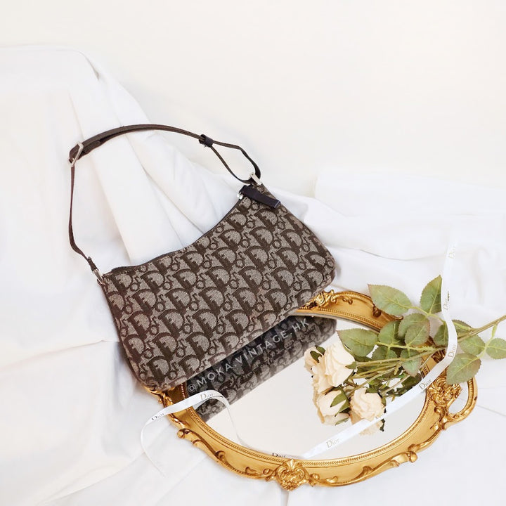 Dior trotter mini handbag