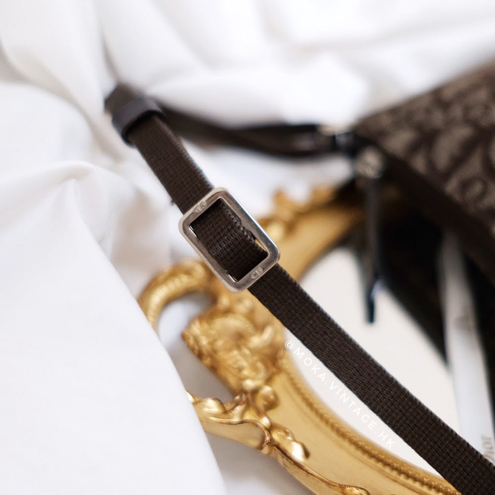 Dior trotter mini handbag