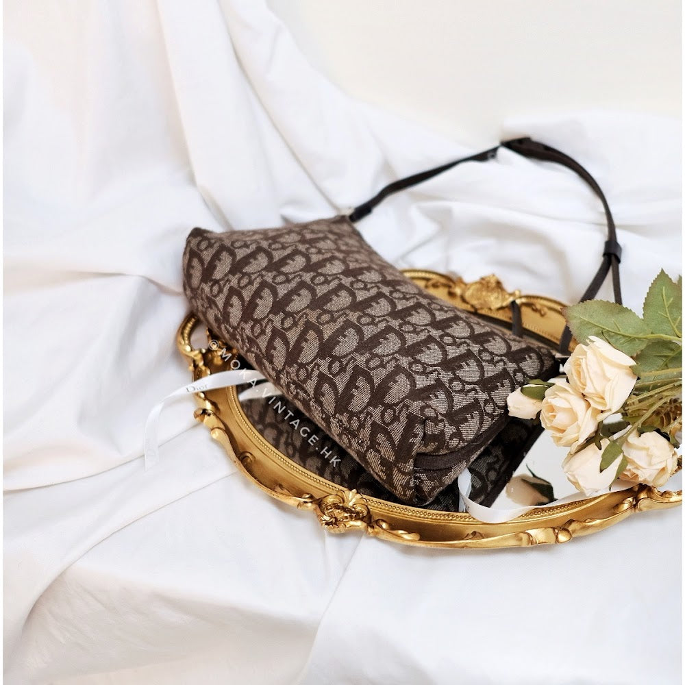 Dior trotter mini handbag