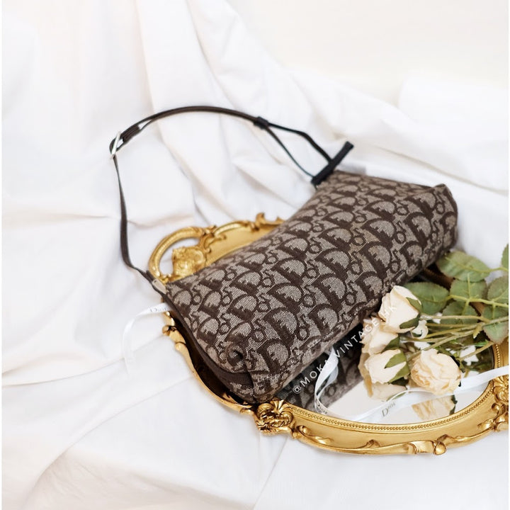 Dior trotter mini handbag
