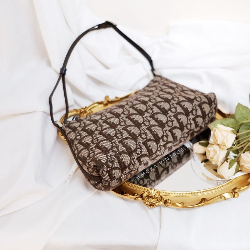 Dior trotter mini handbag