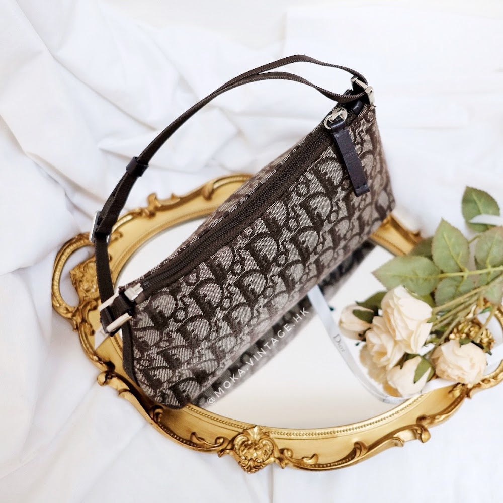 Dior trotter mini handbag